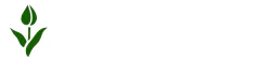 Beejwala