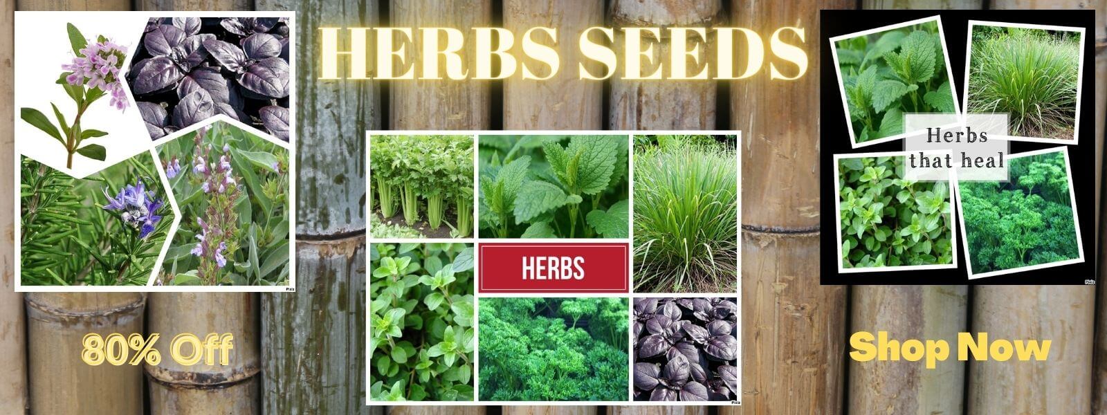 Grow Your Dream Garden Today